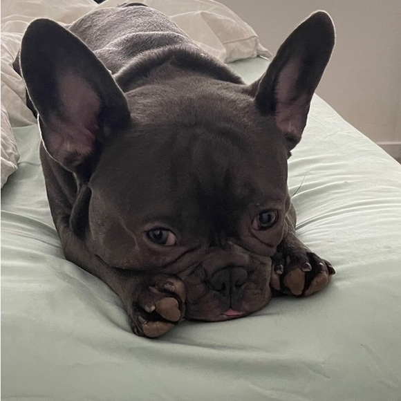 Mother & Daughter Closet makes for more variety💞! - Picture 2 of 12